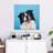 Crowle Happy Border Collie-111896723
