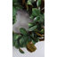 Couronne de magnolia artificielle 24 po