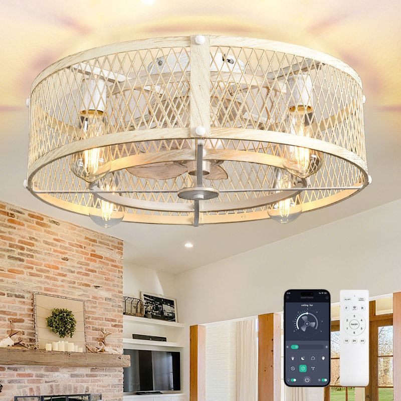 Ventilateur de plafond à cage de 20 pouces avec éclairage, télécommande et contrôle des applications, Ciment