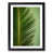 Black Framed selected