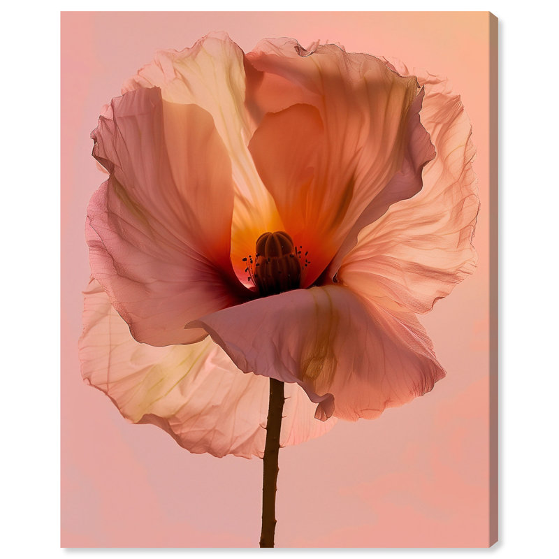 Amber Radiance I Print by Oliver Gal, 24"H x 30"W, Gallery Wrapped
