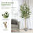 71.5'' Faux Olive Tree Tree in Pot