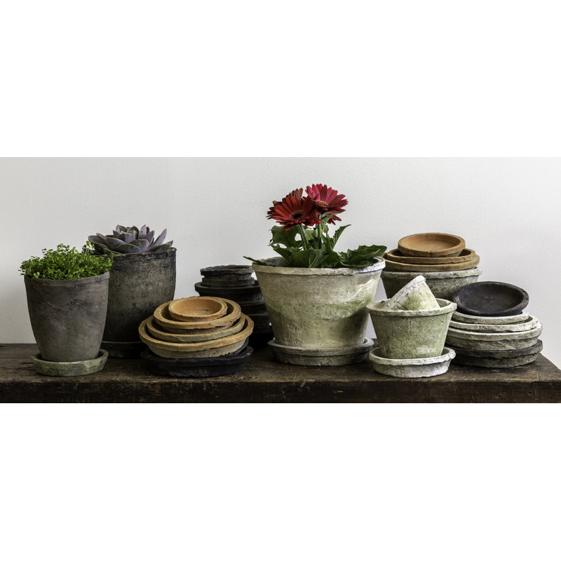 Ensemble 32 pièces soucoupes Farmer's