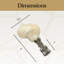 Faiteau de lampe en coquillage naturel-36759293