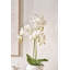 80cm Faux Plant in Cement Pot