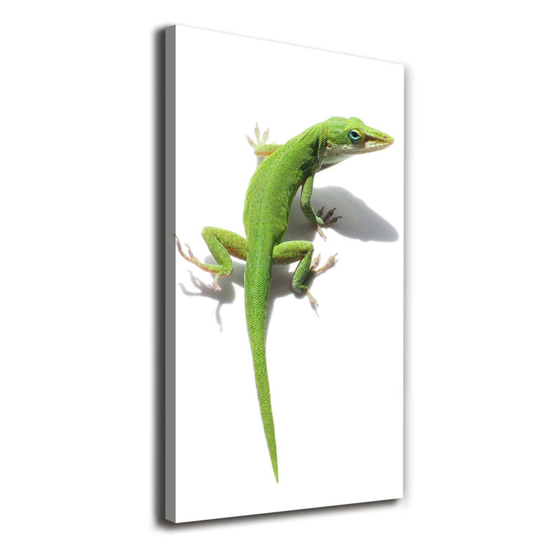 Green Lizard - Wrapped Canvas Print