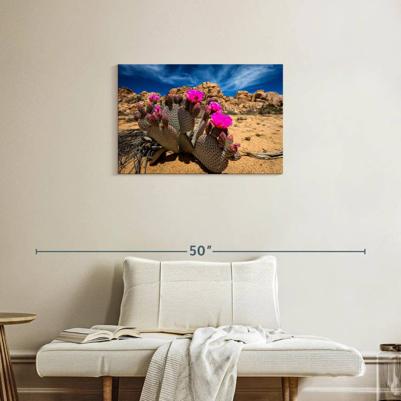 Harnek Beavertail Cactus