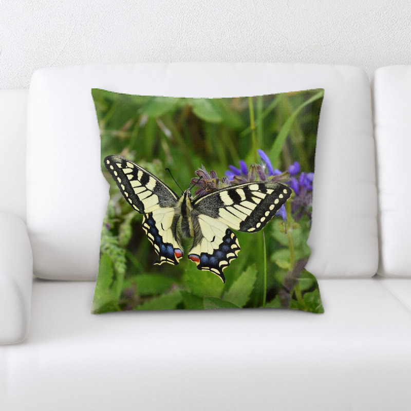 Coussin queue d’aronde