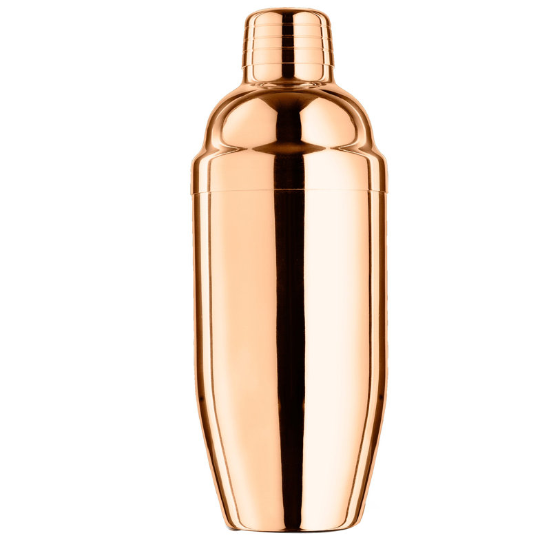 Stainless Steel Shaker