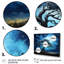 Arbre bleu d'Afrique, Serengeti, arbre V, art mural 5 pièces-1341063881
