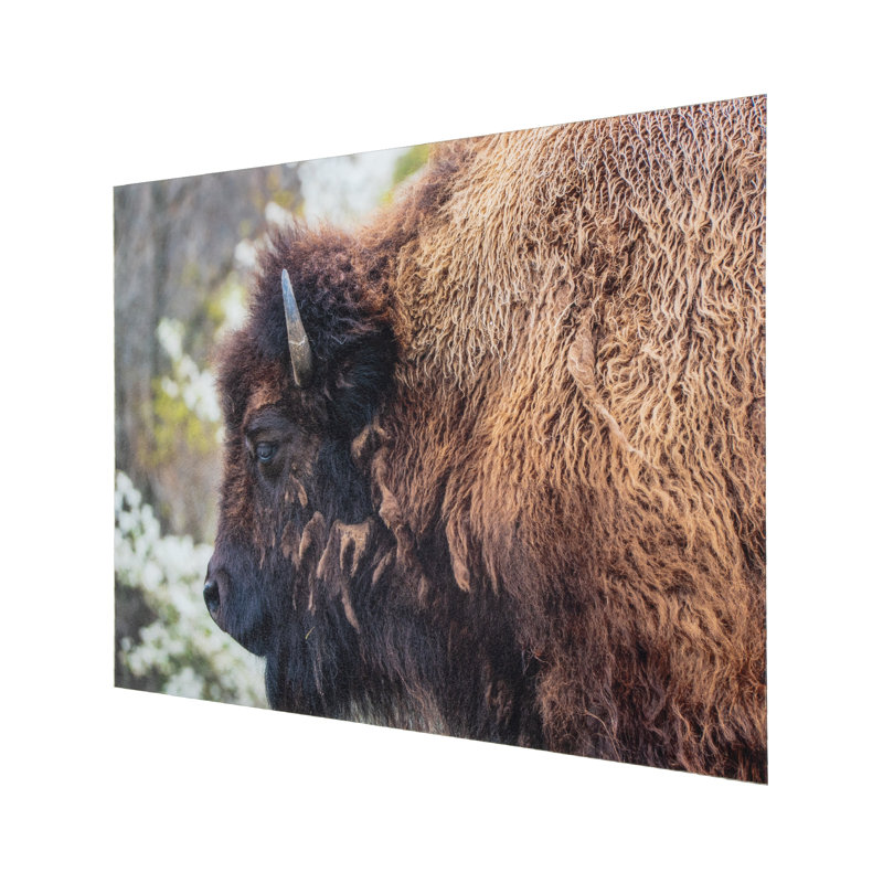 Nomadic Grazer - Art mural