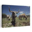 Texas Longhorn Cattle In A Field by Gerald L. French - Wrapped Canvas Print-89193339