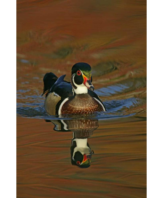 Art sur toile tendue Lark Manor ™ Morris, Arthur, Ohio, Cleveland, H 48 po x l 33 po