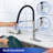 Rainlex Pull Out Kitchen Faucet-64540358