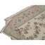 Oriental Area Rug in Ivory