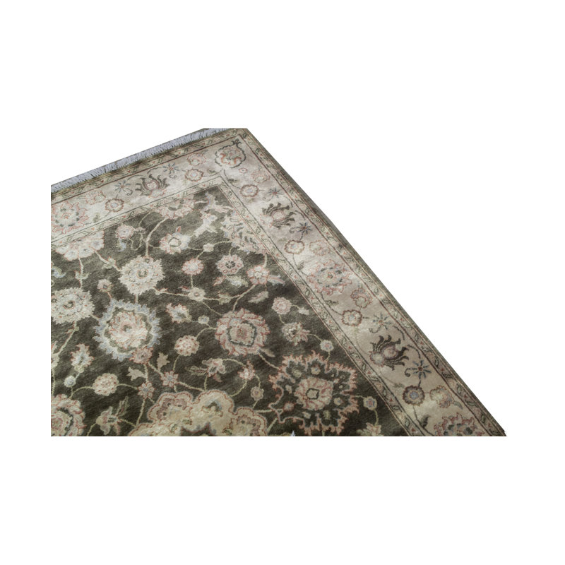 Oriental Area Rug in Brown/Cream