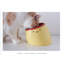 Pet Bowl