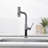 Single Handle Kitchen Faucet with Accessories-93486581