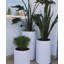 Pot à fleurs Paes-1710206540