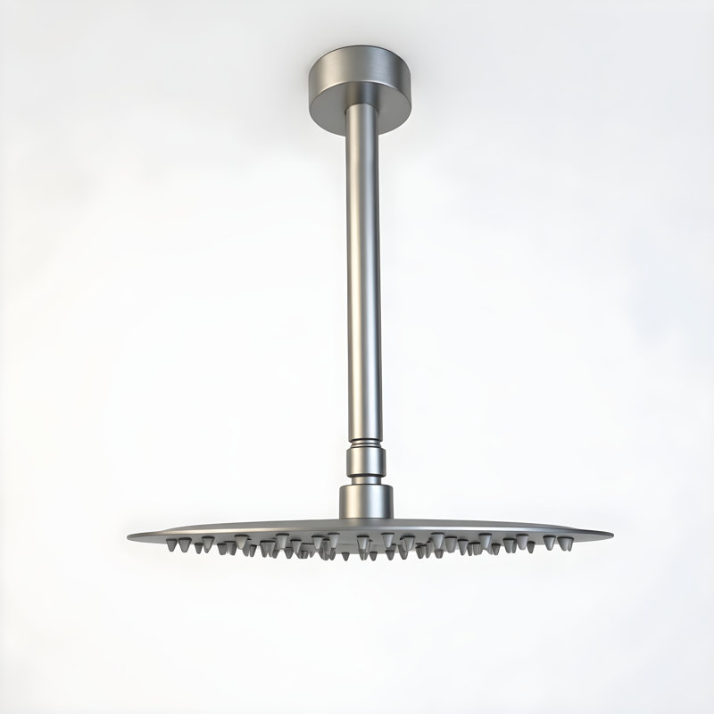 Pommeau de douche effet pluie 25,4 x 25,4 x 9,1 cm, acier inoxydable monobloc, fini nickel brossé, Brushed Nickel