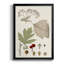Feuilles et baies II sur papier-88435445-88435444