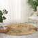 Baranof Oriental Indoor Rug