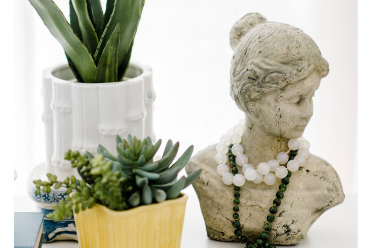 Vignette details, bust and succulents