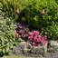 Evelina Animals Metal Garden Statue