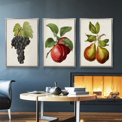 " Antique Fruit V " 3 - Pieces