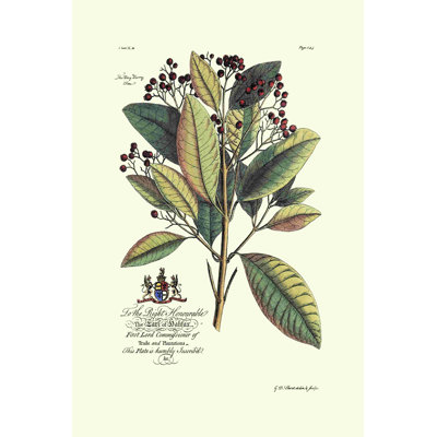 Royal Botanical VI