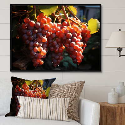 Scenic Vineyard Golden Harvest