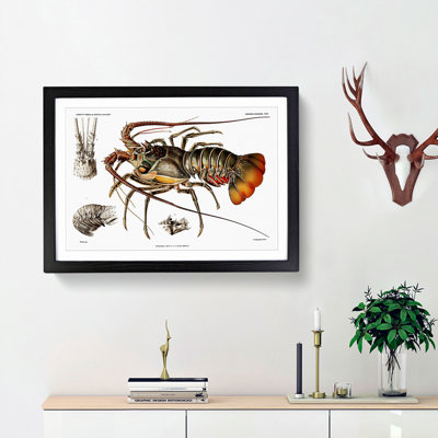 European Lobster by Albert I - Picture Frame Painting Print on MDF