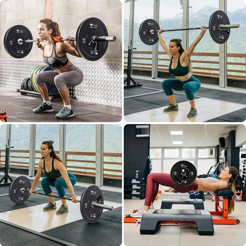 Rubber Coated 10LB Weight Plate Pair for 2" Bars, Noise Reducing Home Gym Plates