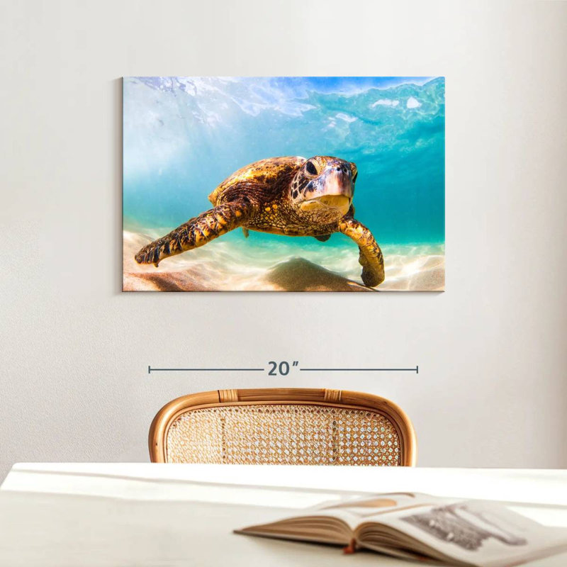 Crowle Hawaiian Turtle, 16" H x 24" W