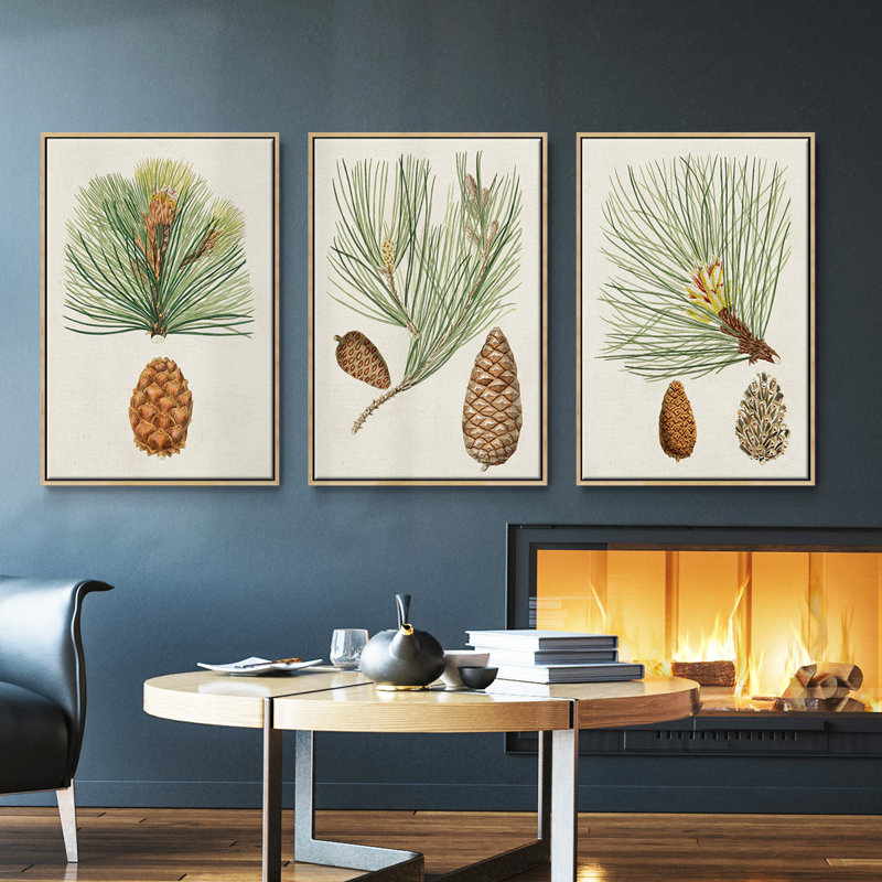 Antique Pine Cones II - 3 pièces, impression sur toile, H 27 po x l 54 po, Naturel