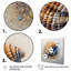 Décoration murale coquillage côtier III - animaux-1091489266-1091489277