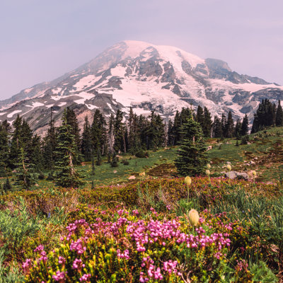 Parc national du mont Rainier