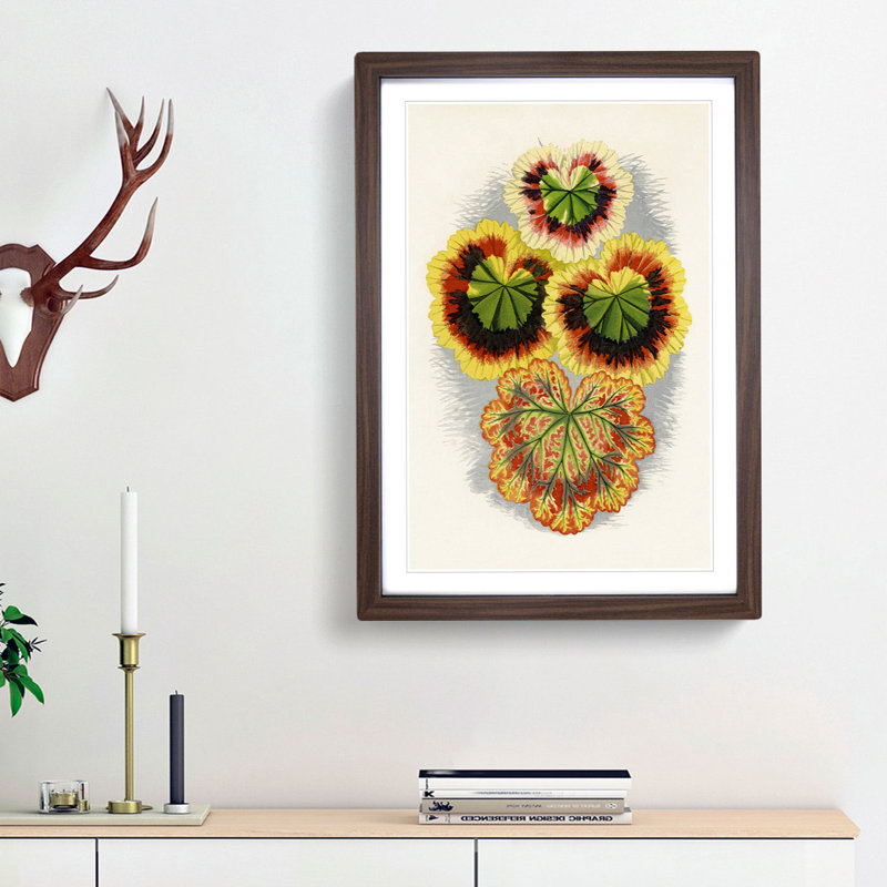 Geranium Leaves by Benjamin Fawcett - Framed Print, 87cm H x 62cm W x 2cm D, Walnut Framed