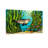 Animal Seal Swimming Among Seaweed And Fish-2133824462-2133824459-2133824458