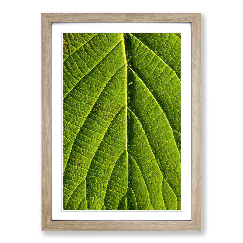 Leaf Pathways - Picture Frame Painting Print, 36cm H x 27cm W x 2cm D, Oak Framed
