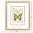 Nature's Wonder I Framed Art