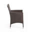 Chaises de salle à manger d'extérieur en osier PE multibrown, ensemble de 2