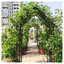 Arche de jardin en métal noir avec portail, 147,5 cm L x 247 cm H x 43 cm P, treillis de support en fer pour plantes grimpantes et rosiers