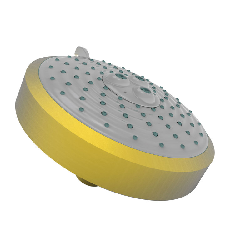 Multi Function Fixed Shower Head