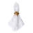 Forest Walk Acorn Napkin Ring - Multi