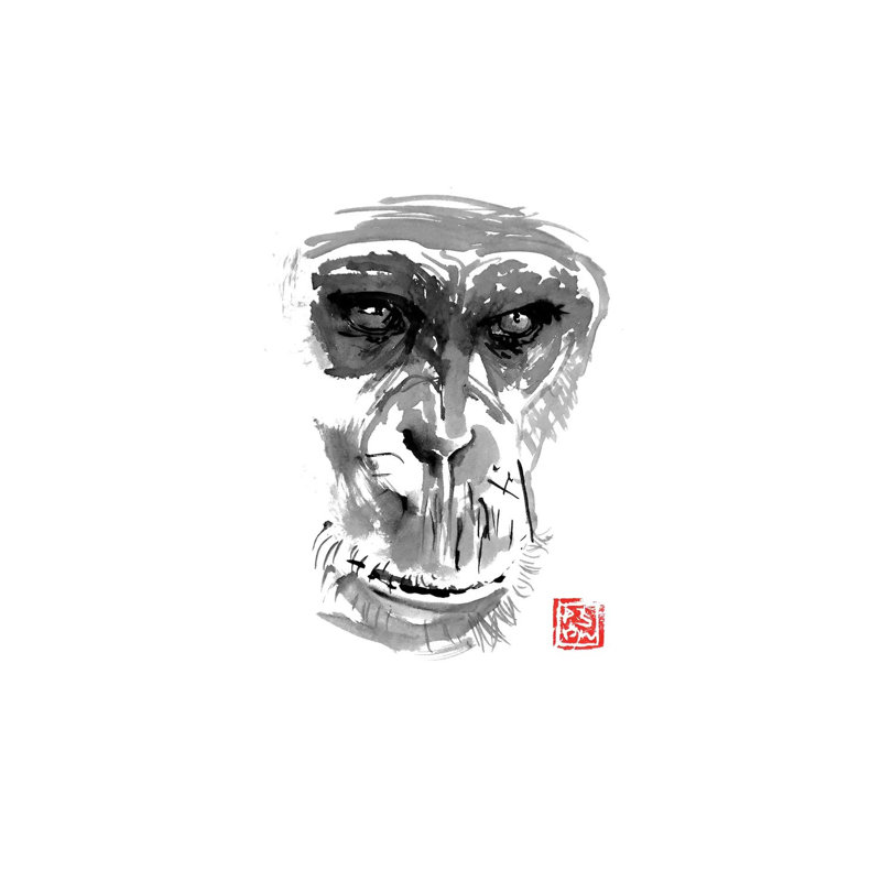 Chimpanzee by Péchane - Print on Canvas, 20.32 cm H x 30.48 cm W, Wrapped Canvas