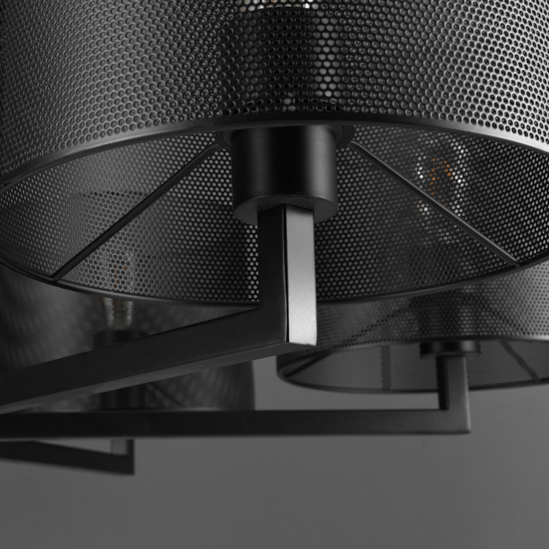 Meliora Iron 6-Light Chandelier, Black