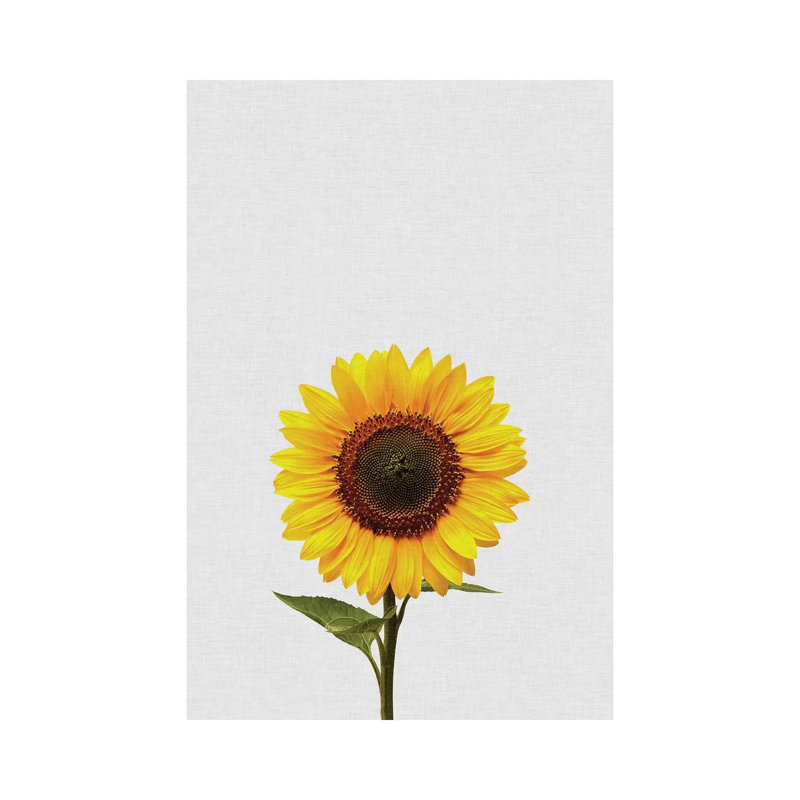 Sunflower by Orara Studio - Wrapped Canvas Print, 101.6 cm H x 66.04 cm W x 1.91 cm D