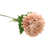 Blush Pink