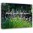 Louis Agassiz Quote: Study nature not books.-451070255